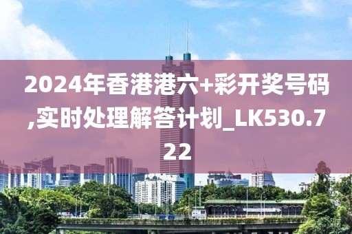 2024年香港港六+彩開獎號碼,實時處理解答計劃_LK530.722