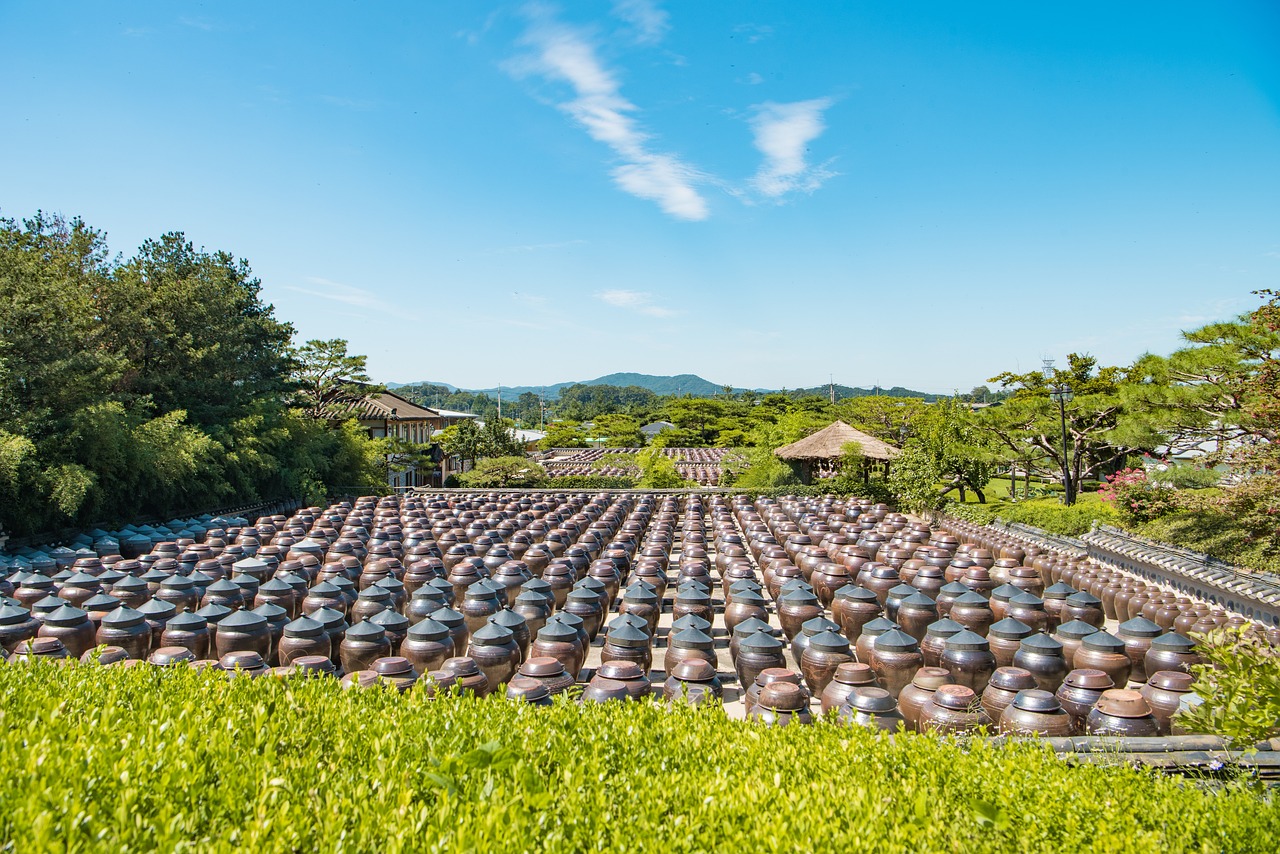 探索南太平洋門戶，斐濟(jì)最新航班動(dòng)態(tài)全解析