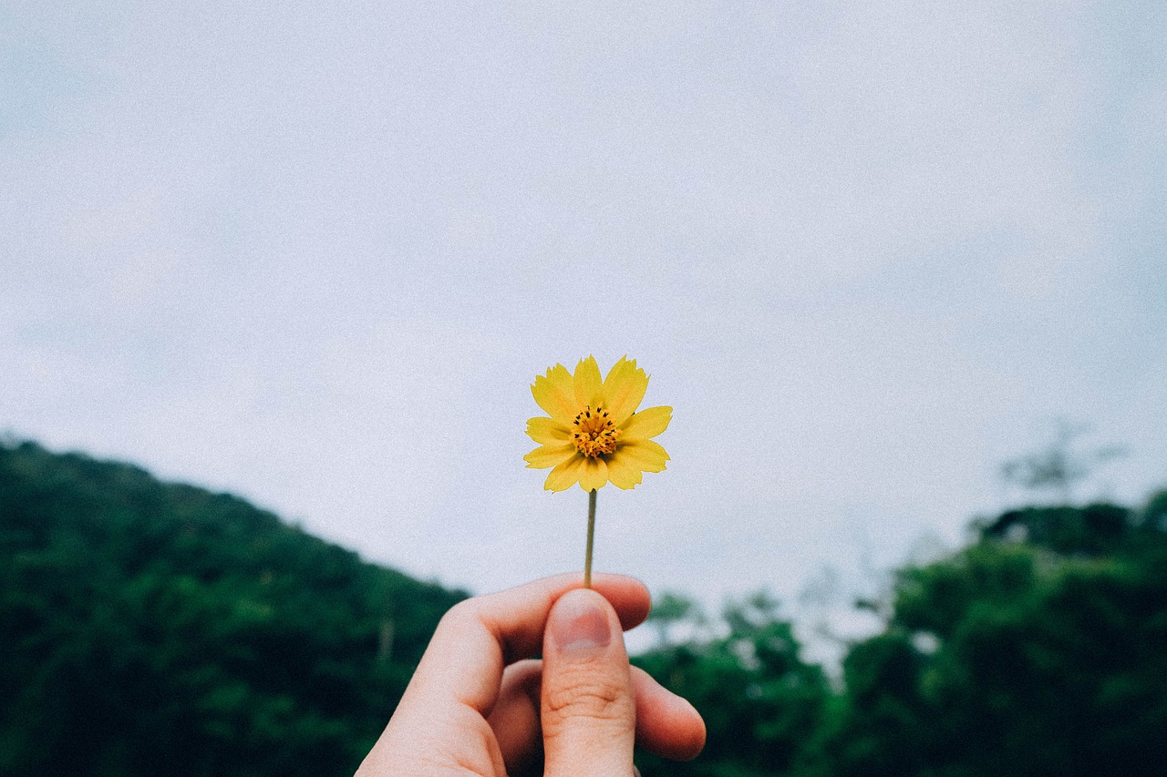 綠城最新動(dòng)態(tài)引領(lǐng)綠色生活新潮流風(fēng)潮