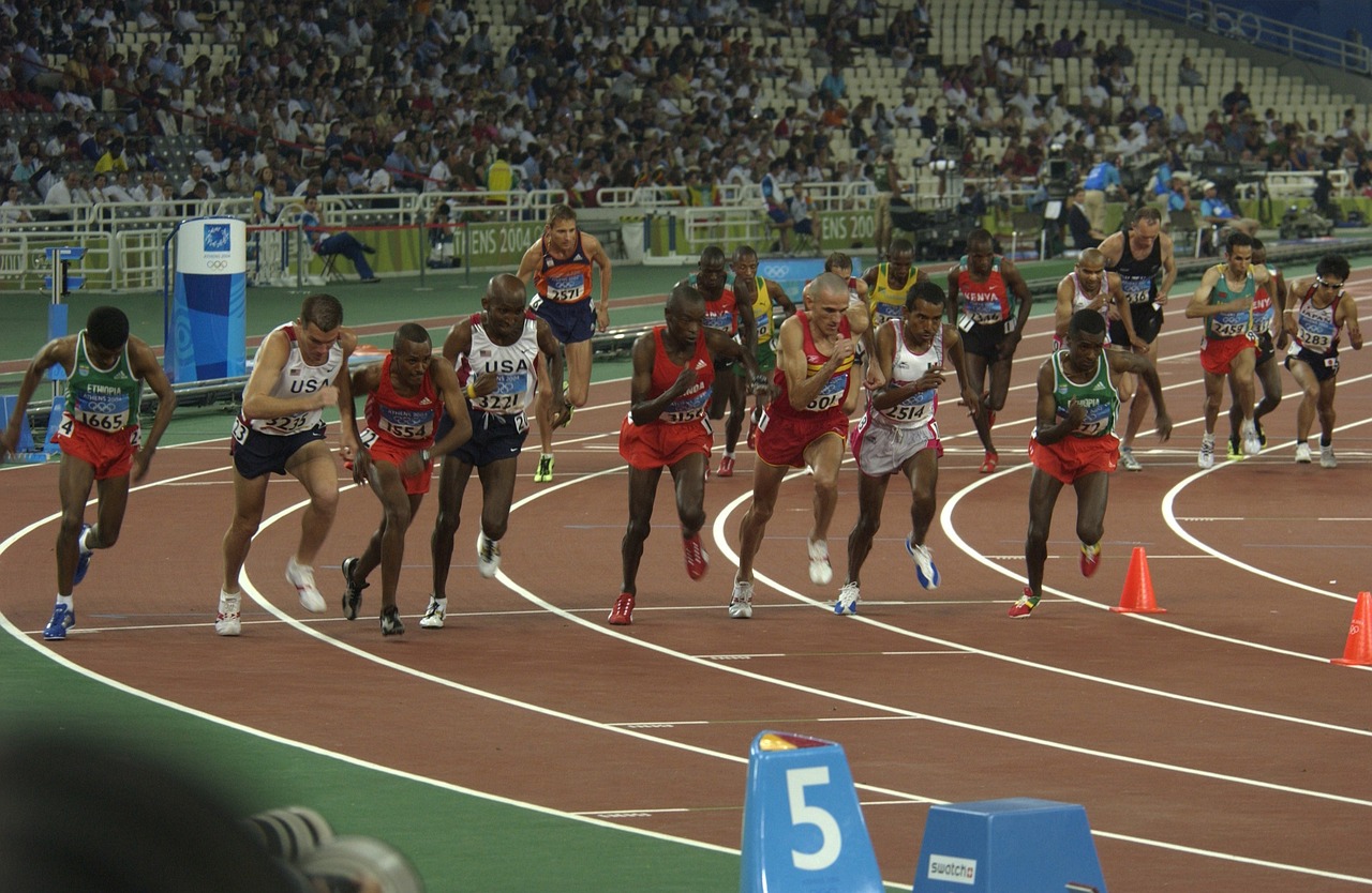 2004新澳門天天開好彩大全54，動態(tài)執(zhí)行策略_實時版UF7.87.24