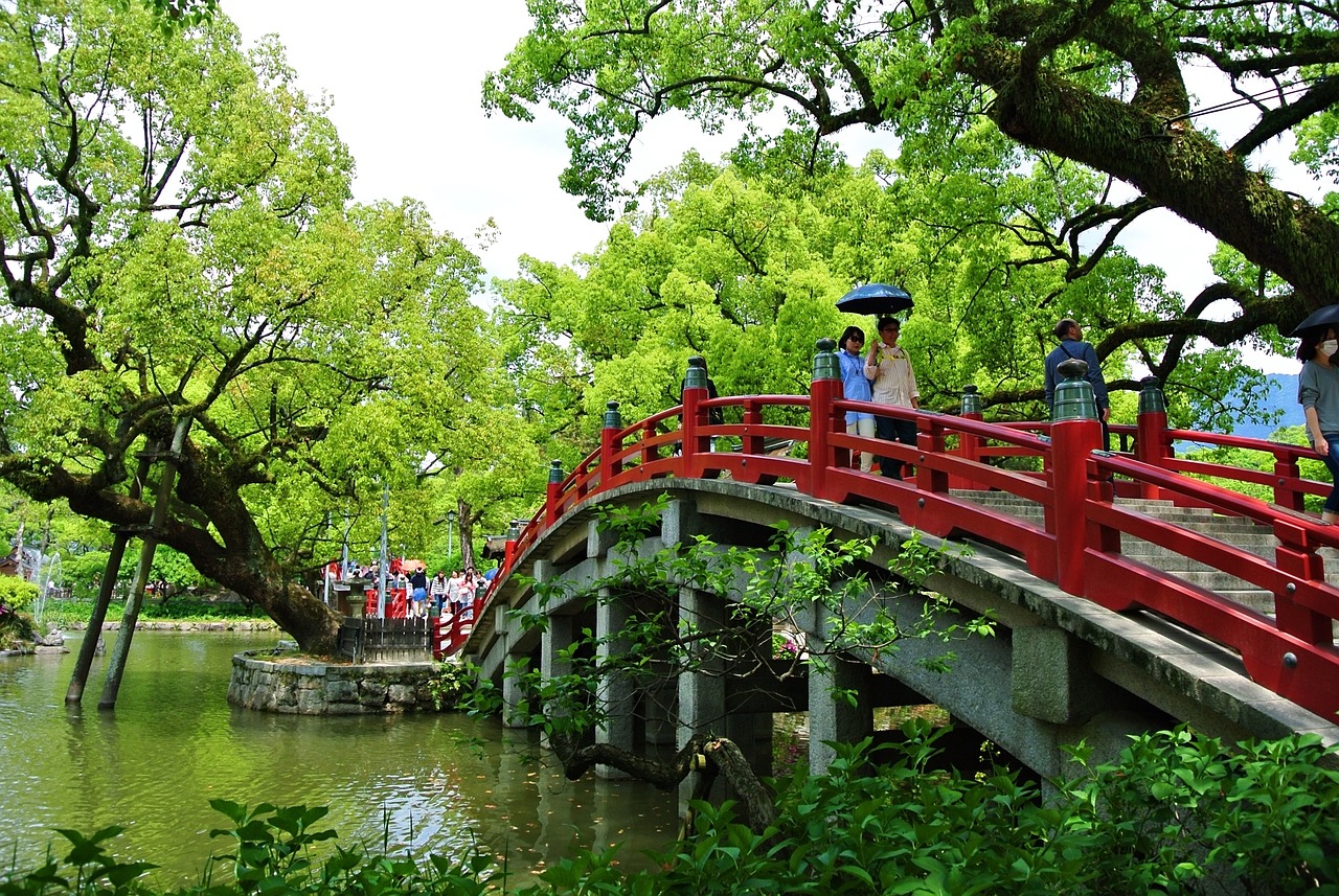 膠州市最新動態(tài)，蓬勃發(fā)展中的城市面貌與活力四溢的發(fā)展態(tài)勢