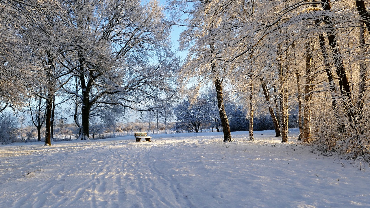 南山雪域風(fēng)情與滑雪盛宴，最新雪況報告揭秘滑雪盛宴盛況