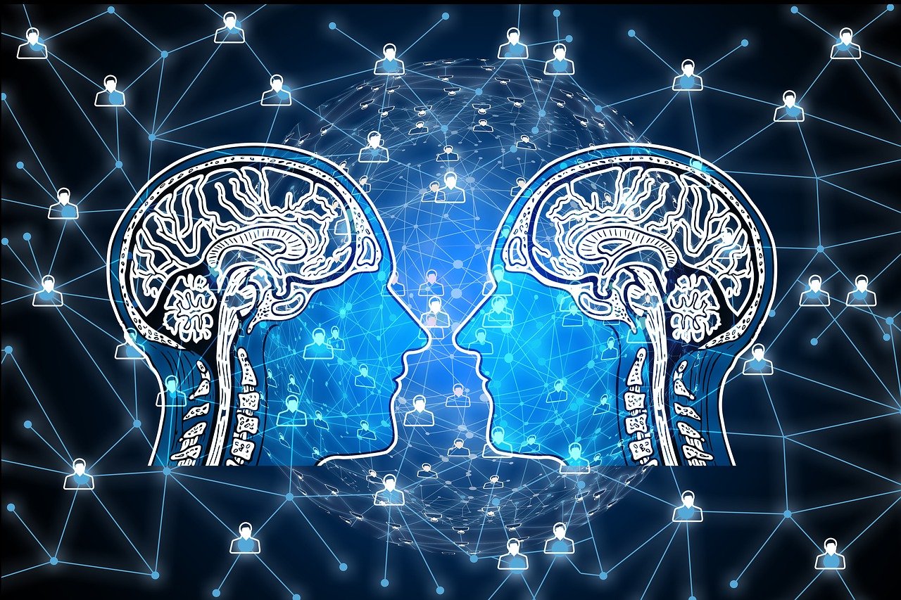 深圳返流最新信息與發(fā)展趨勢(shì)深度解析