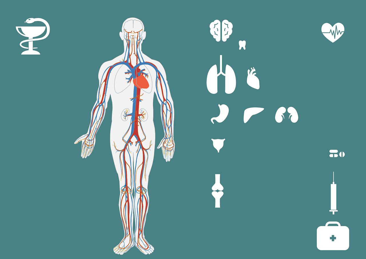 臺灣最新抗疫措施，科學(xué)應(yīng)對，守護(hù)家園健康