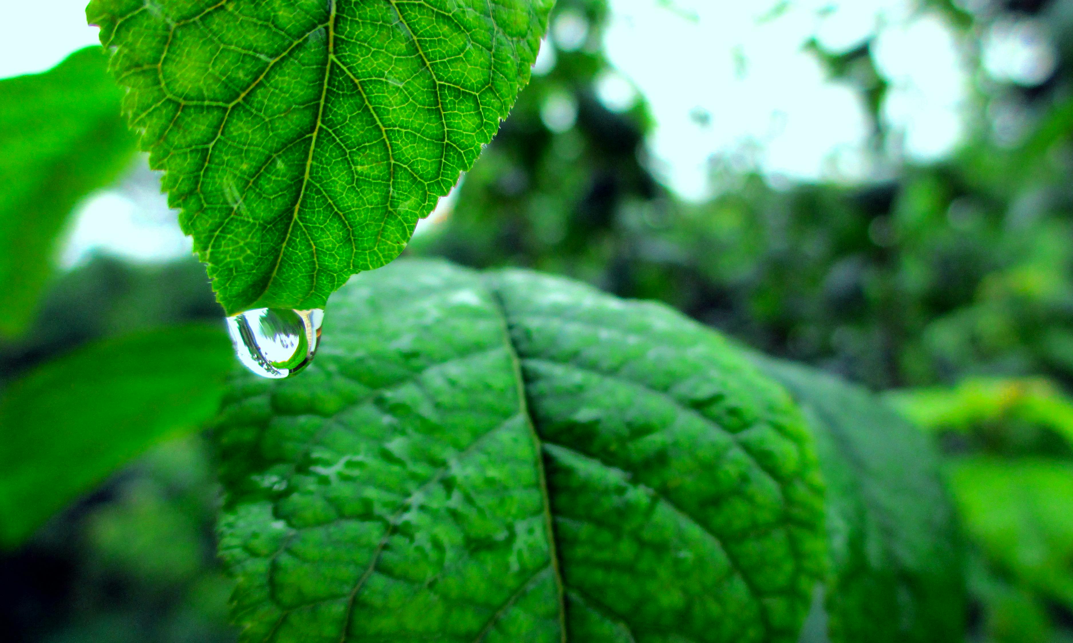 全國最新降雨消息，氣象預(yù)警與各地實(shí)時(shí)動態(tài)分析報(bào)告