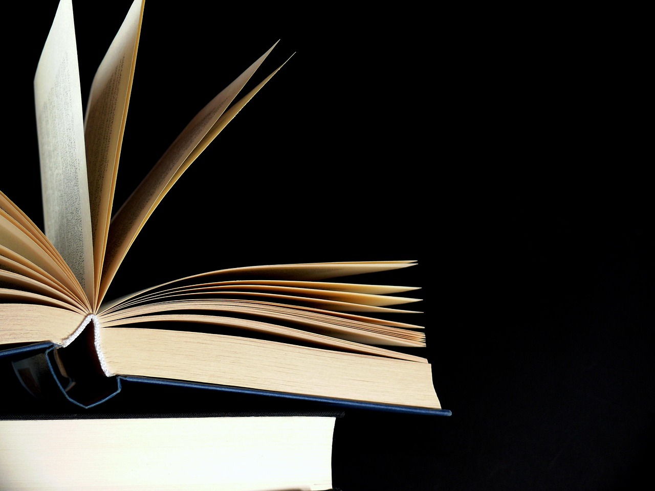 最新諾獎書，科學、文學與和平的巔峰之作探索