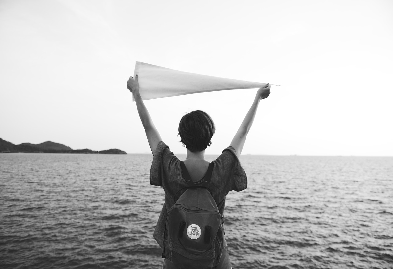 野鴨子最新網(wǎng)，探索與發(fā)現(xiàn)的旅程