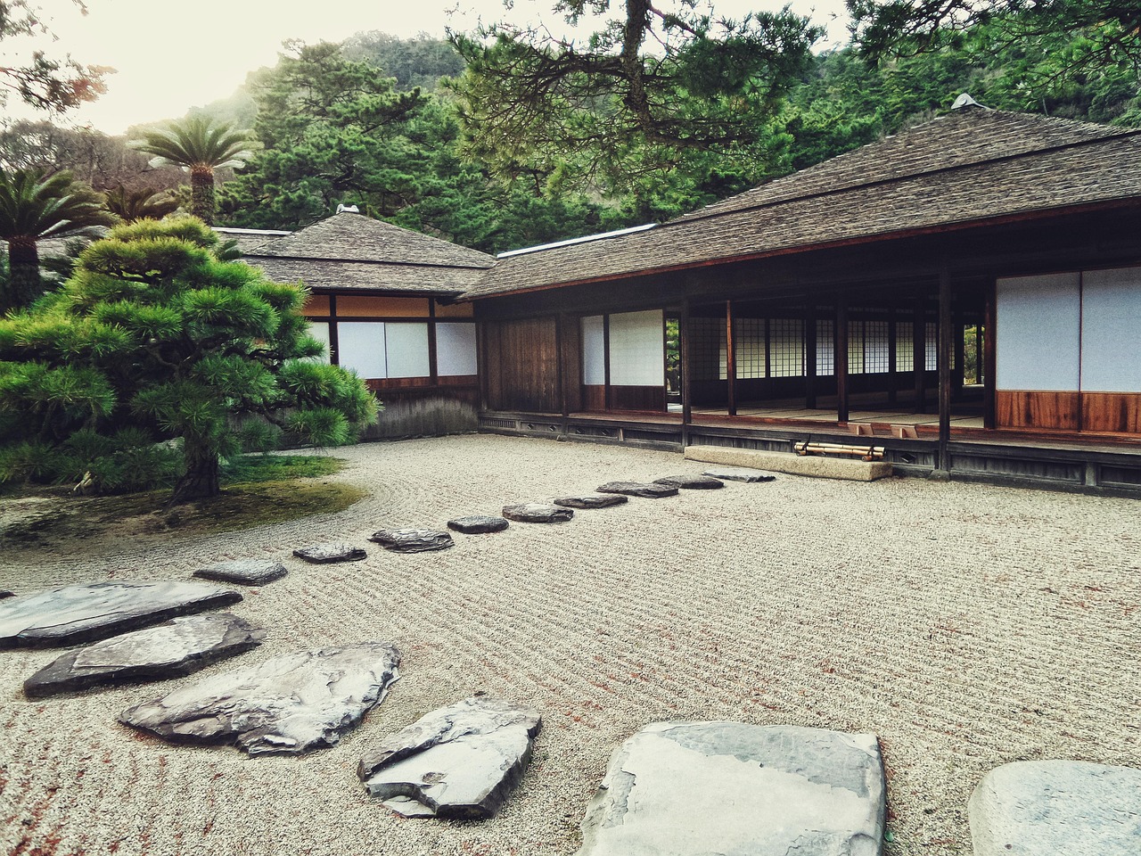 遼陽最新賓館，體驗現(xiàn)代化舒適住宿的魅力