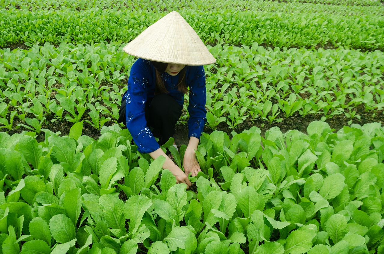 鄒城市最新發(fā)展動(dòng)態(tài)概覽