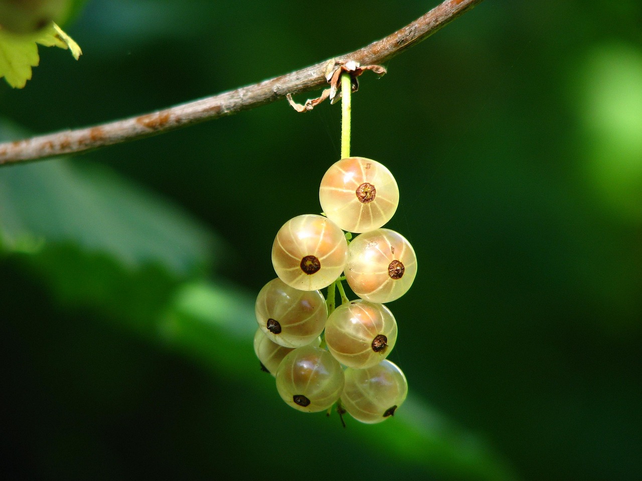 孫正義最新動(dòng)態(tài)，數(shù)字時(shí)代的先鋒力量領(lǐng)航者