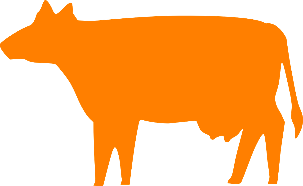 推動農(nóng)業(yè)現(xiàn)代化，助力鄉(xiāng)村振興，最新三農(nóng)動態(tài)概覽